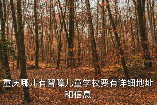 重慶市孤獨癥兒童學校，重慶自閉癥康復訓練機構有哪些