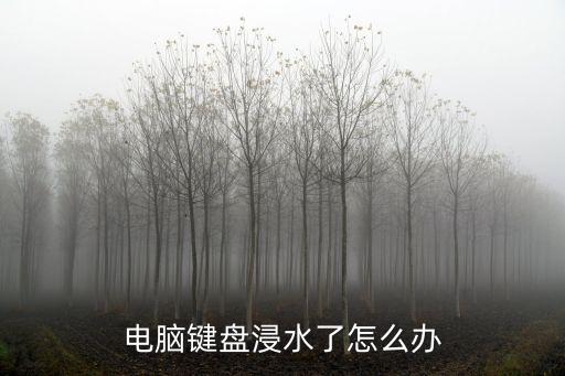 電腦鍵盤浸水了怎么辦
