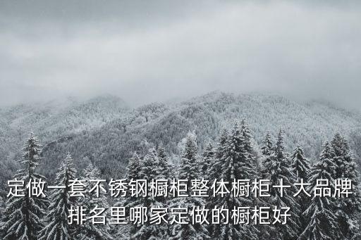 定做一套不銹鋼櫥柜整體櫥柜十大品牌排名里哪家定做的櫥柜好