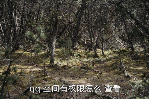 查看qq空間,怎么進入qq客戶端?