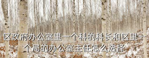 區(qū)政府辦公室主任，寧江區(qū)政府辦公室副主任是什么級(jí)別