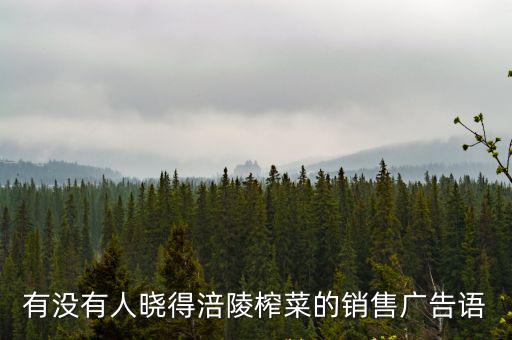 有沒(méi)有人曉得涪陵榨菜的銷售廣告語(yǔ)