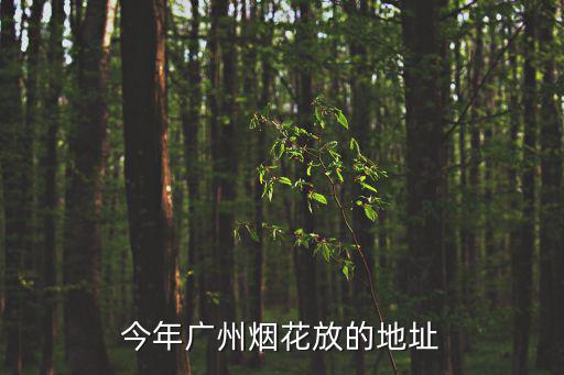 2020春節廣州焰火，今年廣州煙花放的地址