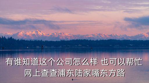 有誰知道這個公司怎么樣 也可以幫忙網上查查浦東陸家嘴東方路