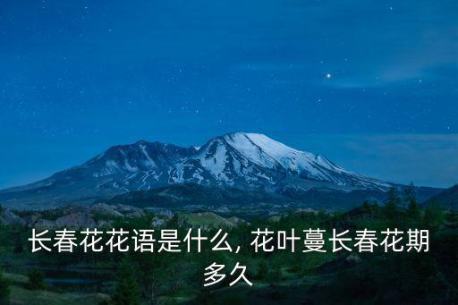 長春花花語是什么, 花葉蔓長春花期多久