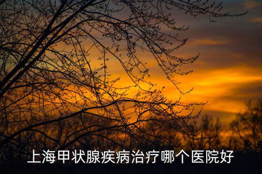 上海甲狀腺疾病治療哪個醫院好
