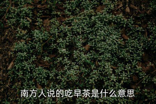 廣州早茶點心的象征，南方人說的吃早茶是什么意思