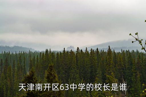 天津南開區63中學的校長是誰