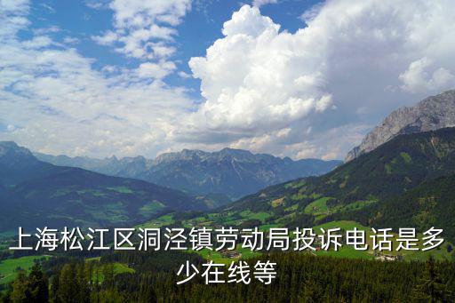 上海松江區(qū)洞涇鎮(zhèn)勞動局投訴電話是多少在線等