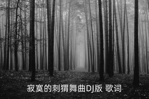 寂寞的刺猬舞曲DJ版 歌詞