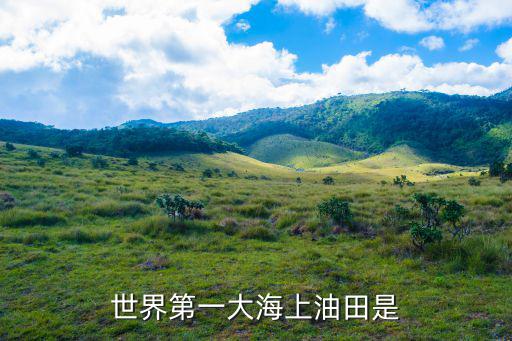 世界第一大海上油田是