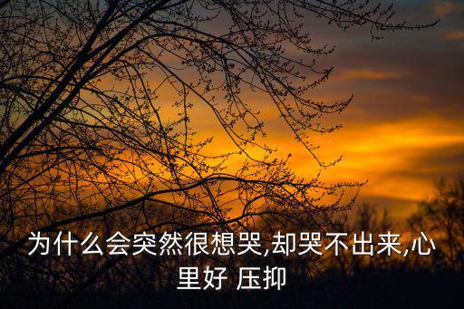 心里好壓抑好累好想哭,壓抑太久會出現負面情緒最好放在屋子里