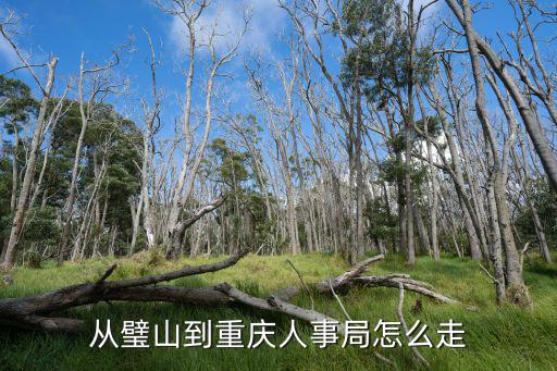 從璧山到重慶人事局怎么走