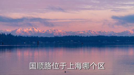 國順路位于上海哪個區