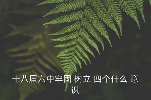 十八屆六中牢固 樹立 四個(gè)什么 意識(shí)