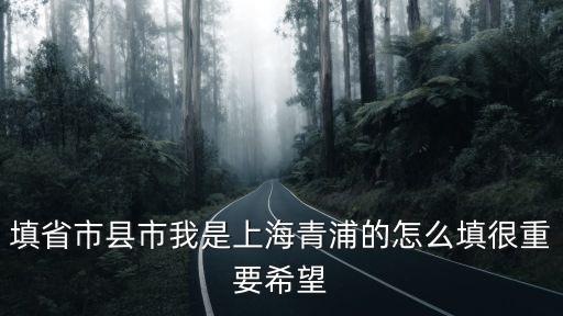 填省市縣市我是上海青浦的怎么填很重要希望