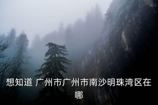 想知道 廣州市廣州市南沙明珠灣區在哪