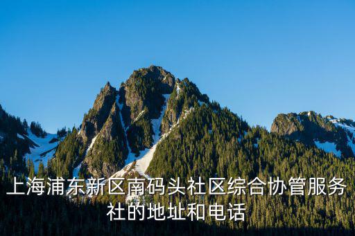 上海浦東新區南碼頭社區綜合協管服務社的地址和電話