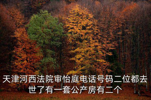 天津河西法院審怡庭電話號碼二位都去世了有一套公產房有二個
