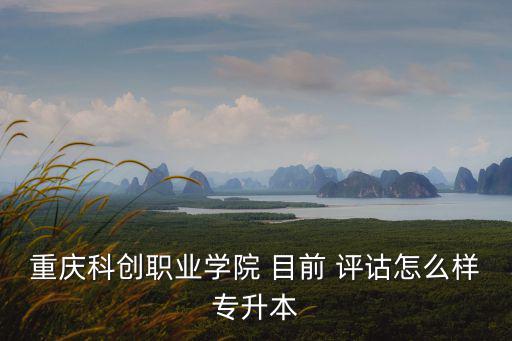 重慶市教委二級巡視員夏蒂，現任重慶市教委主任是誰