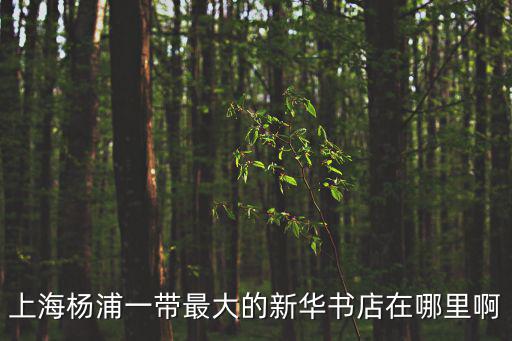 上海楊浦一帶最大的新華書店在哪里啊