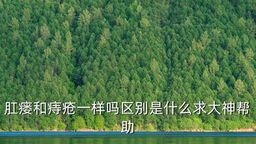 肛瘺和痔瘡一樣嗎區別是什么求大神幫助