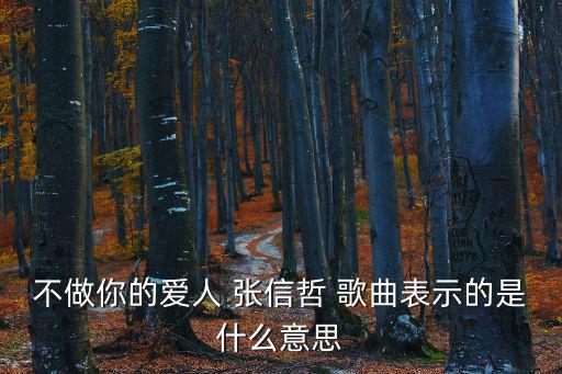 不做你的愛人，不是你的愛人不流一滴眼淚