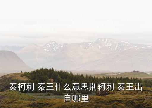 刺秦王,荊軻刺秦王:公元前227年就已刺殺秦王