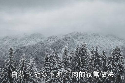 白蘿卜 胡蘿卜燉 牛肉的家常做法