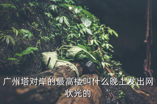 廣州塔對岸的最高樓叫什么晚上發出網狀光的