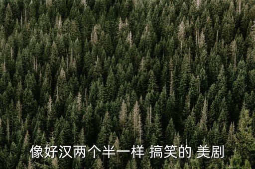 搞笑的美劇,《老友記》和《威爾與格蕾絲》是情景喜劇經典