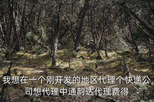 我想在一個剛開發的地區代理個快遞公司想代理中通韻達代理費得