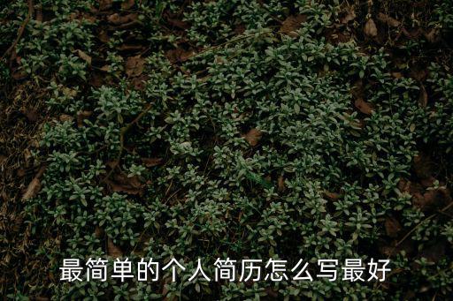 個人簡歷怎么寫最好，如何寫好個人簡歷