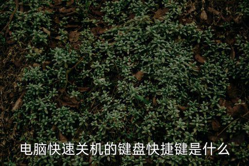 電腦快速關機的鍵盤快捷鍵是什么