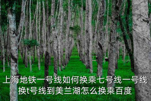 上海市地鐵1號線換7號線在哪站換，上海的地鐵1號線如何換乘17號地鐵
