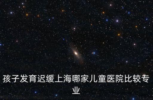 孩子發(fā)育遲緩上海哪家兒童醫(yī)院比較專業(yè)