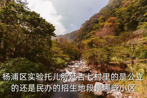 上海市延吉七村39號，想問一下關于楊浦重點小學的問題