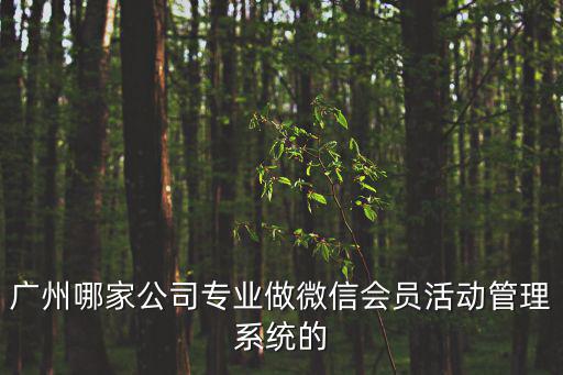 廣州哪家公司專業做微信會員活動管理系統的