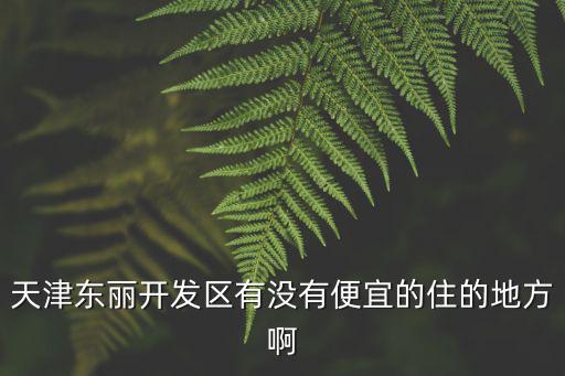 天津東麗開發區有沒有便宜的住的地方啊