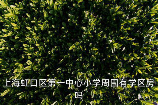 上海市久耕小區對口哪個小學，上海虹口區第一中心小學周圍有學區房嗎