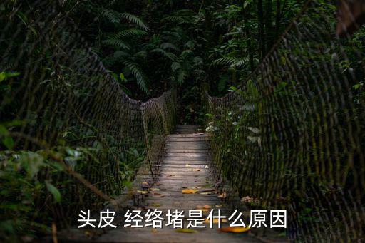 頭皮 經(jīng)絡(luò)堵是什么原因