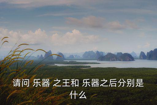 請問 樂器 之王和 樂器之后分別是什么