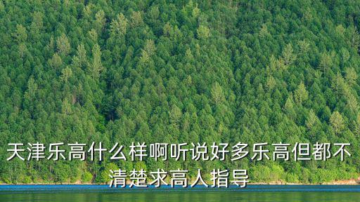 天津市lego，天津樂高什么樣啊聽說好多樂高但都不清楚求高人指導