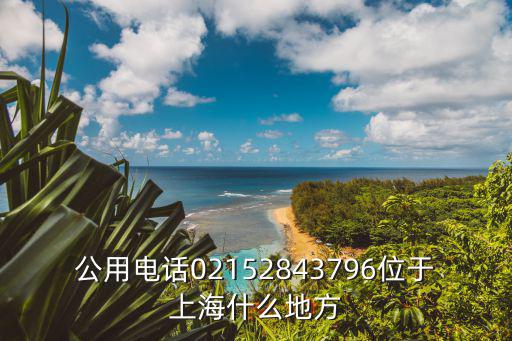 公用電話02152843796位于上海什么地方