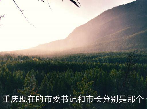 重慶現在的市委書記和市長分別是那個