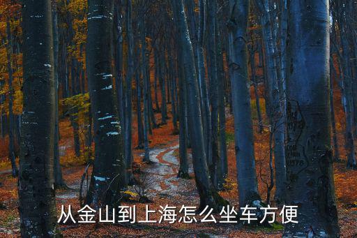 從金山到上海怎么坐車方便