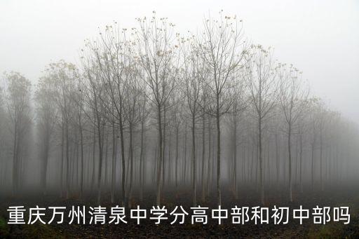 重慶萬州清泉中學分高中部和初中部嗎
