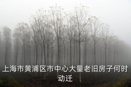 上海市中心老舊小區何去何從，上海市中心那里還有老房子