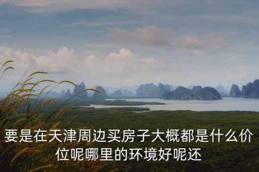 天津市政府周邊二手房，要是在天津周邊買房子大概都是什么價位呢哪里的環境好呢還