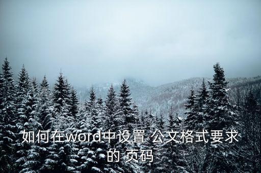 如何在word中設(shè)置 公文格式要求的 頁(yè)碼